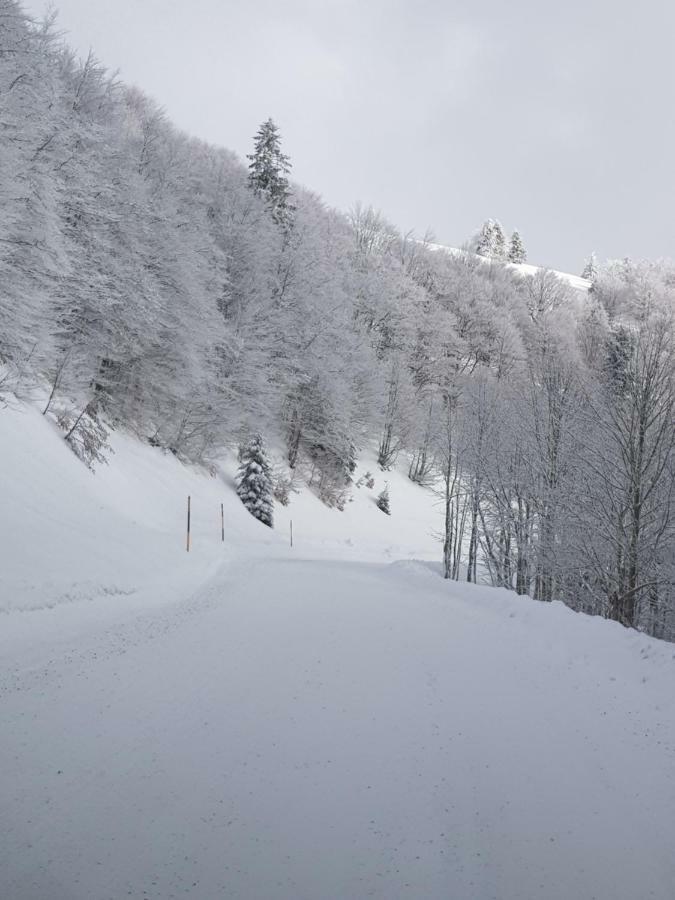 Chalet Confort Aloya Ranspach